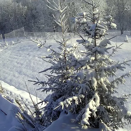 Noclegi nad Czarną Orawą Podwilk Zewnętrze zdjęcie